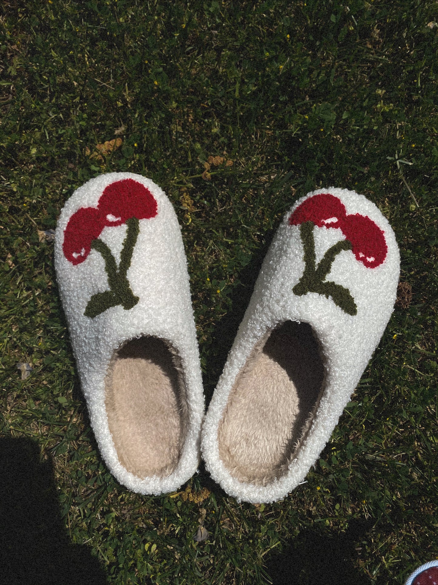 Cherry Slippers